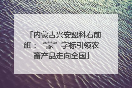 内蒙古兴安盟科右前旗：“蒙”字标引领农畜产品走向全国