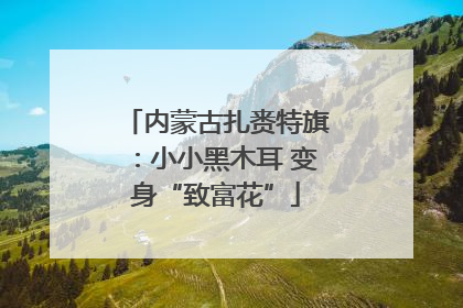 内蒙古扎赉特旗：小小黑木耳 变身“致富花”