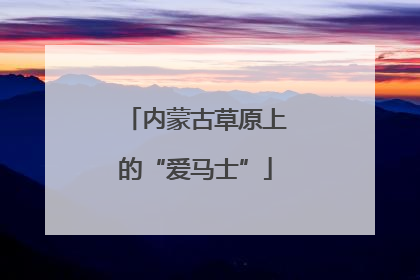 内蒙古草原上的“爱马士”