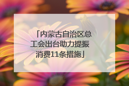 内蒙古自治区总工会出台助力提振消费11条措施