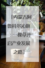 内蒙古阿鲁科尔沁旗：一棵草开启产业发展之路