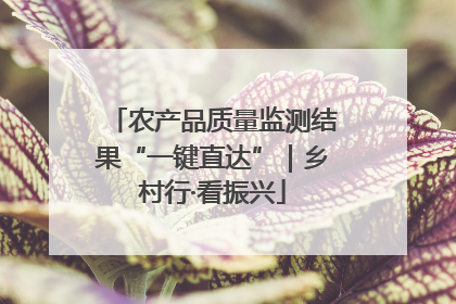 农产品质量监测结果“一键直达”｜乡村行·看振兴