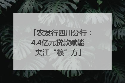 农发行四川分行：4.4亿元贷款赋能夹江“粮”方