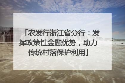 农发行浙江省分行：发挥政策性金融优势，助力传统村落保护利用