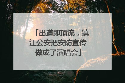 出道即顶流，镇江公安把安防宣传做成了演唱会