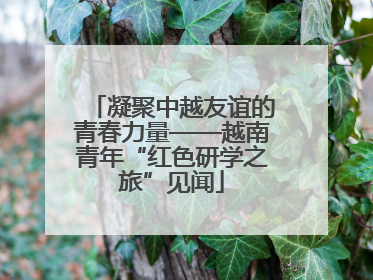 凝聚中越友谊的青春力量——越南青年“红色研学之旅”见闻