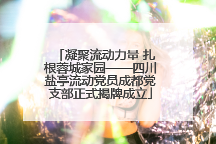 凝聚流动力量 扎根蓉城家园——四川盐亭流动党员成都党支部正式揭牌成立