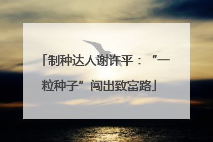 制种达人谢许平：“一粒种子”闯出致富路