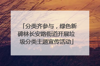 分类齐参与，绿色新碑林长安路街道开展垃圾分类主题宣传活动