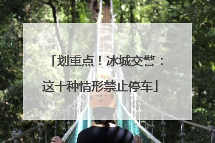 划重点！冰城交警：这十种情形禁止停车