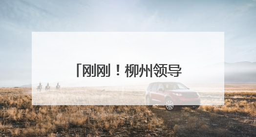 刚刚！柳州领导干部任职前公示