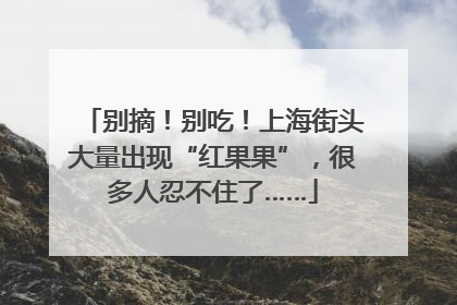 别摘！别吃！上海街头大量出现“红果果”，很多人忍不住了……