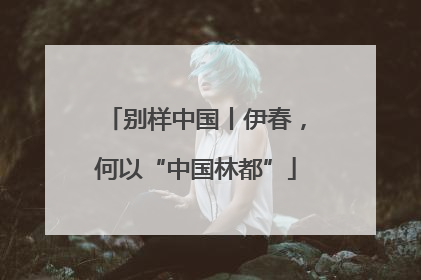 别样中国丨伊春，何以“中国林都”