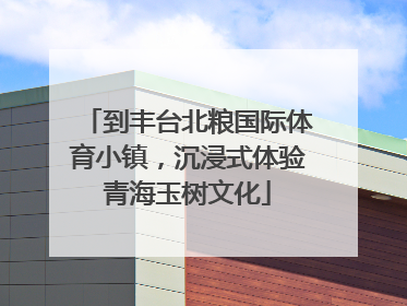 到丰台北粮国际体育小镇，沉浸式体验青海玉树文化