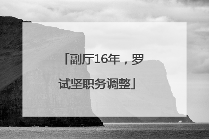 副厅16年，罗试坚职务调整