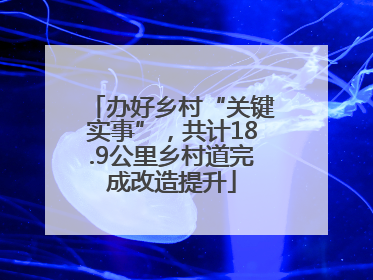 办好乡村“关键实事”，共计18.9公里乡村道完成改造提升