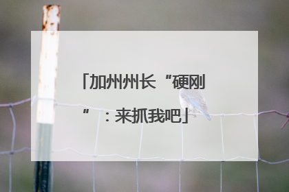 加州州长“硬刚”：来抓我吧