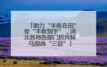助力“丰收在田”变“丰收到手”，河北各地各部门厉兵秣马迎战“三夏”