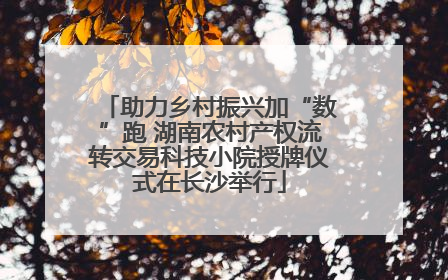 助力乡村振兴加“数”跑 湖南农村产权流转交易科技小院授牌仪式在长沙举行