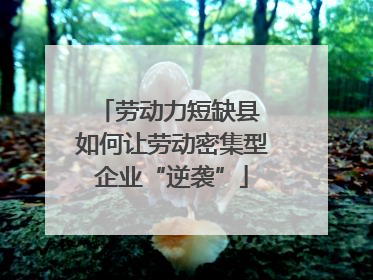 劳动力短缺县 如何让劳动密集型企业“逆袭”