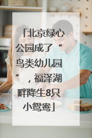 北京绿心公园成了“鸟类幼儿园”，福泽湖畔降生8只小鸳鸯