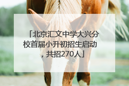 北京汇文中学大兴分校首届小升初招生启动，共招270人
