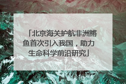 北京海关护航非洲鳉鱼首次引入我国，助力生命科学前沿研究