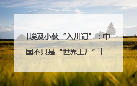 埃及小伙“入川记”：中国不只是“世界工厂”