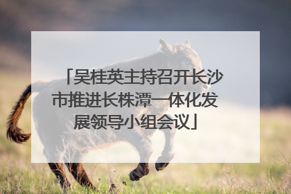 吴桂英主持召开长沙市推进长株潭一体化发展领导小组会议