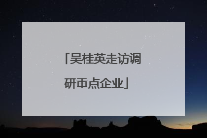 吴桂英走访调研重点企业