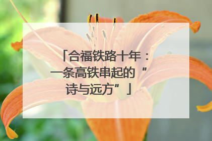 合福铁路十年：一条高铁串起的“诗与远方”
