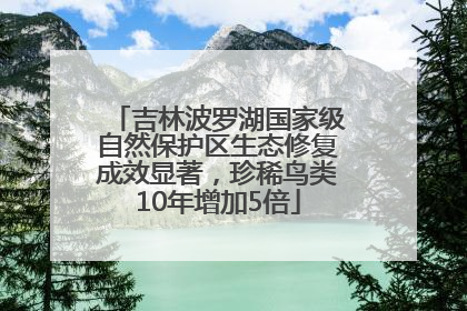 吉林波罗湖国家级自然保护区生态修复成效显著，珍稀鸟类10年增加5倍