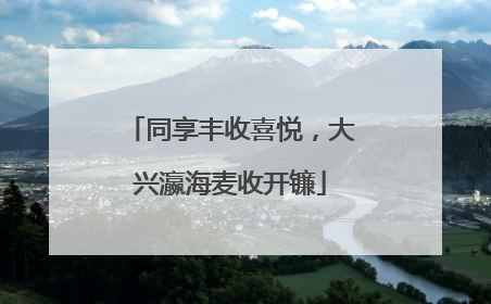 同享丰收喜悦，大兴瀛海麦收开镰