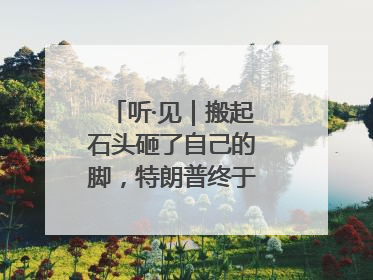 听·见｜搬起石头砸了自己的脚，特朗普终于“慌”了！