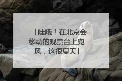 哇哦！在北京会移动的观景台上兜风，这很夏天