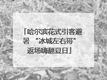 哈尔滨花式引客避暑 “冰城左右哥”返场嗨翻夏日