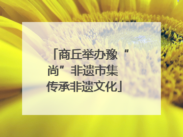商丘举办豫“尚”非遗市集 传承非遗文化