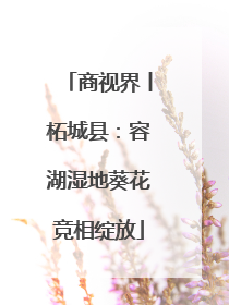 商视界丨柘城县：容湖湿地葵花竞相绽放