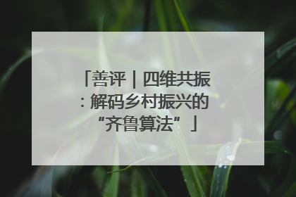 善评｜四维共振：解码乡村振兴的“齐鲁算法”