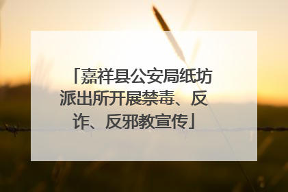 嘉祥县公安局纸坊派出所开展禁毒、反诈、反邪教宣传