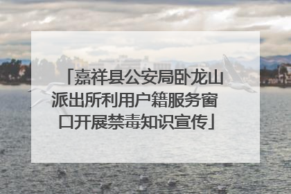嘉祥县公安局卧龙山派出所利用户籍服务窗口开展禁毒知识宣传