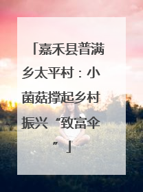 嘉禾县普满乡太平村：小菌菇撑起乡村振兴“致富伞”