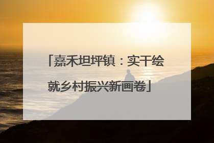 嘉禾坦坪镇：实干绘就乡村振兴新画卷