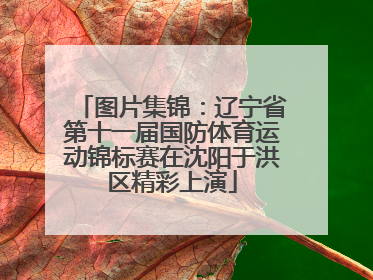 图片集锦：辽宁省第十一届国防体育运动锦标赛在沈阳于洪区精彩上演