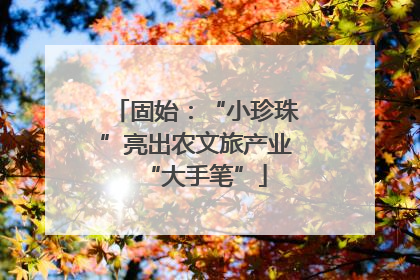 固始：“小珍珠”亮出农文旅产业“大手笔”