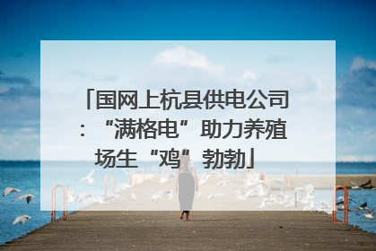 国网上杭县供电公司：“满格电”助力养殖场生“鸡”勃勃