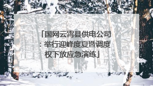 国网云霄县供电公司：举行迎峰度夏暨调度权下放应急演练