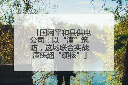 国网平和县供电公司：以“演”筑防，这场联合实战演练超“硬核”
