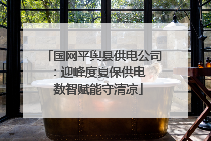 国网平舆县供电公司：迎峰度夏保供电  数智赋能守清凉