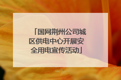 国网荆州公司城区供电中心开展安全用电宣传活动